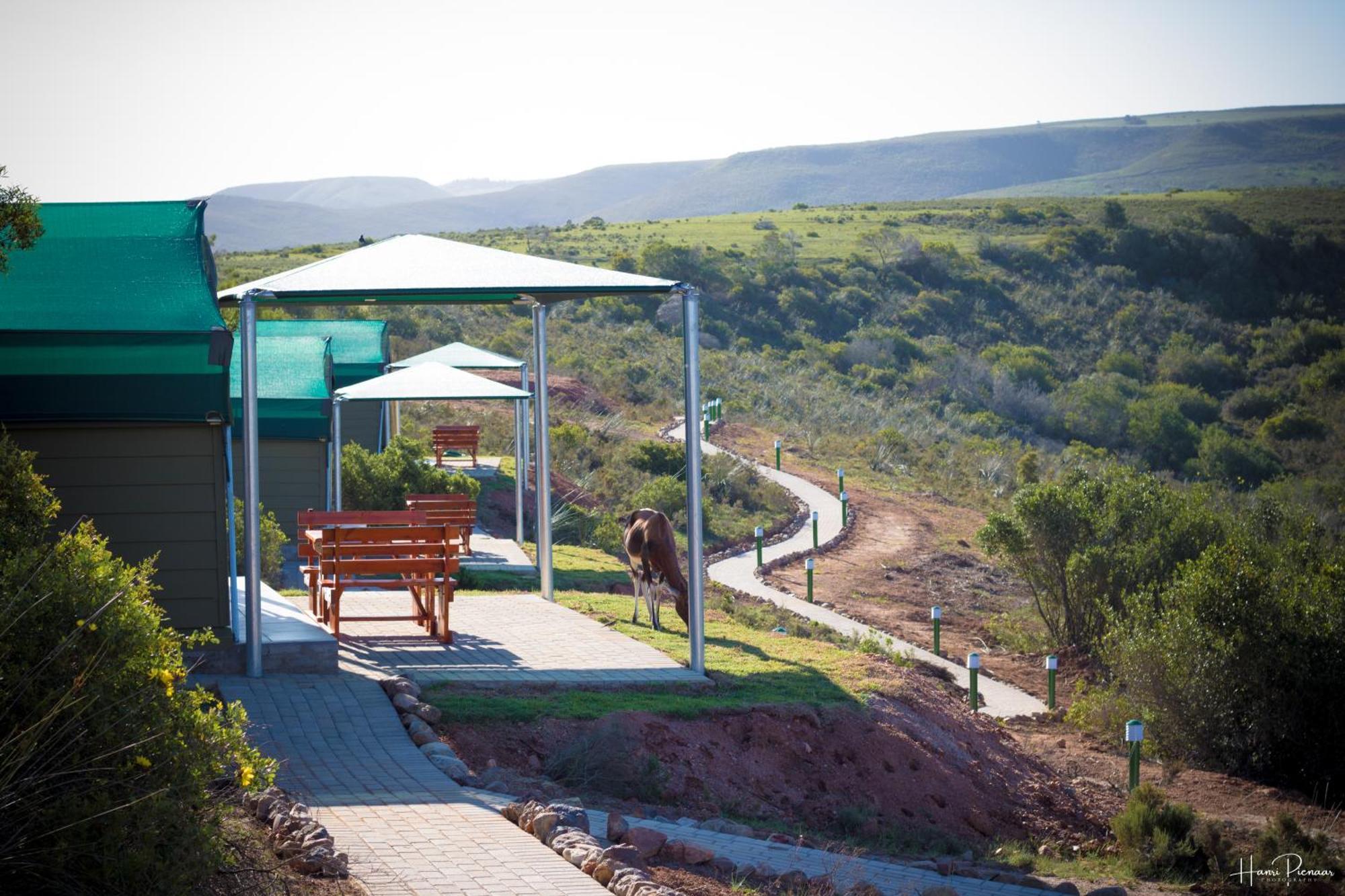 Hartenbos Private Game Lodge מראה חיצוני תמונה